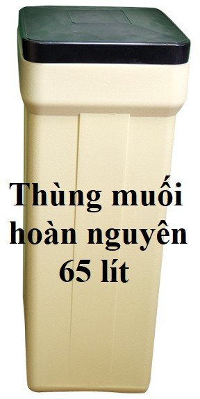 Thùng muối hoàn nguyên